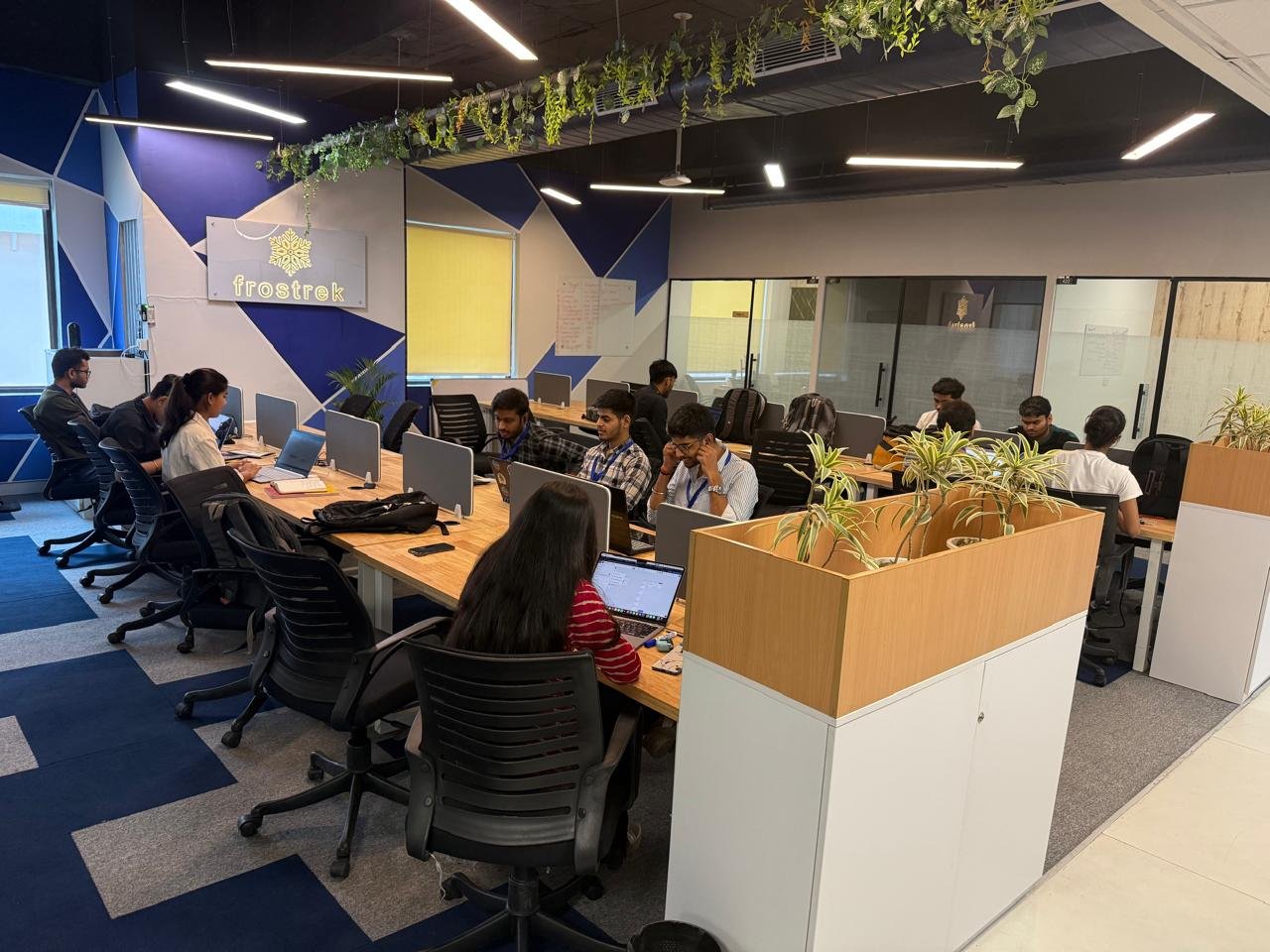 Frostrek Workspace