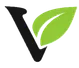 Vedashi